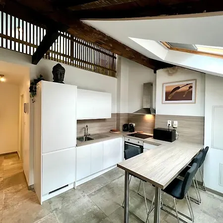 Appartement Le Belvedere De La Rose-hors Chateau, Hypercentre *