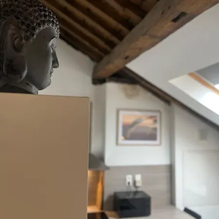 Le Belvedere De La Rose-hors Chateau, Hypercentre *