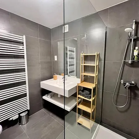 Appartement Le Belvedere De La Rose-hors Chateau, Hypercentre *
