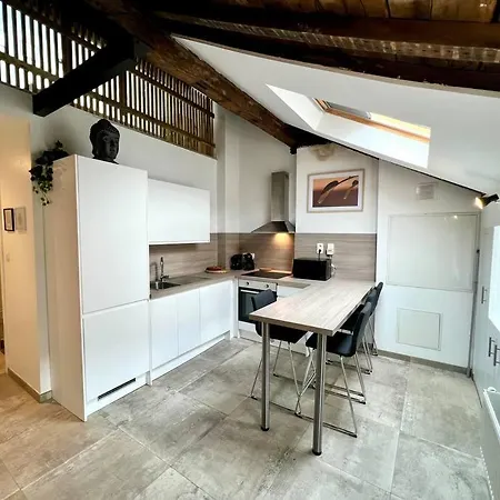 Le Belvedere De La Rose-hors Chateau, Hypercentre *